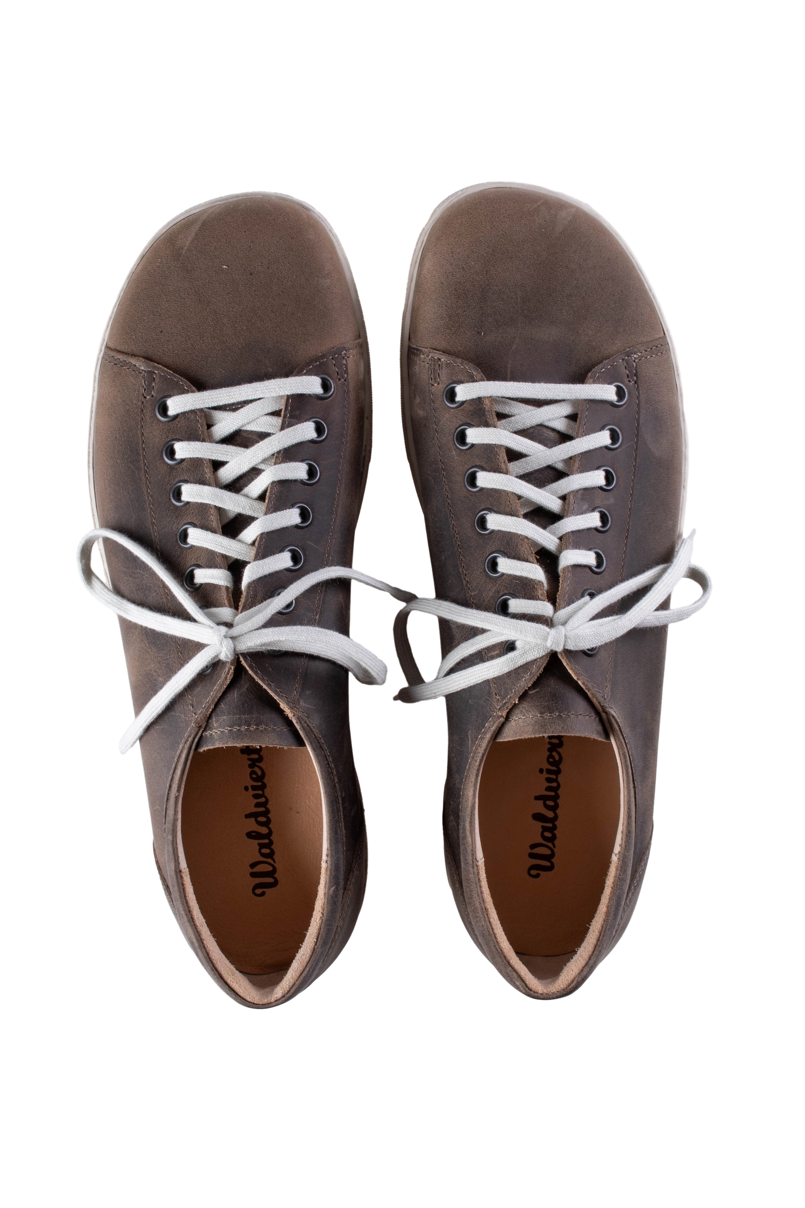 Waldviertler, Damenschuhe, Halbschuhe, Herrenschuhe, Schnürschuhe, Schuhe, Sneaker, Sommerschuhe, Übergangsschuhe, Braun, Rückenwind